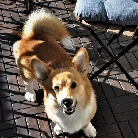 Apartment Honey I'm *