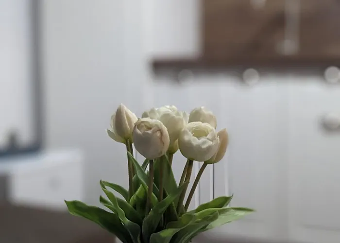 Honey I'm Διαμέρισμα *