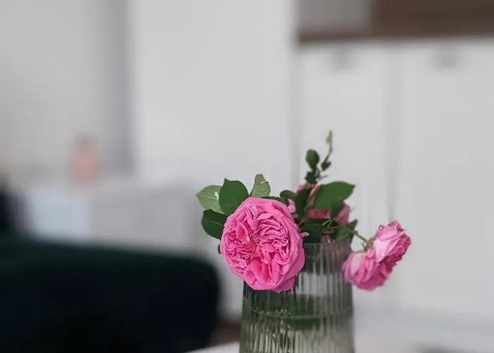 Honey I'm Διαμέρισμα *